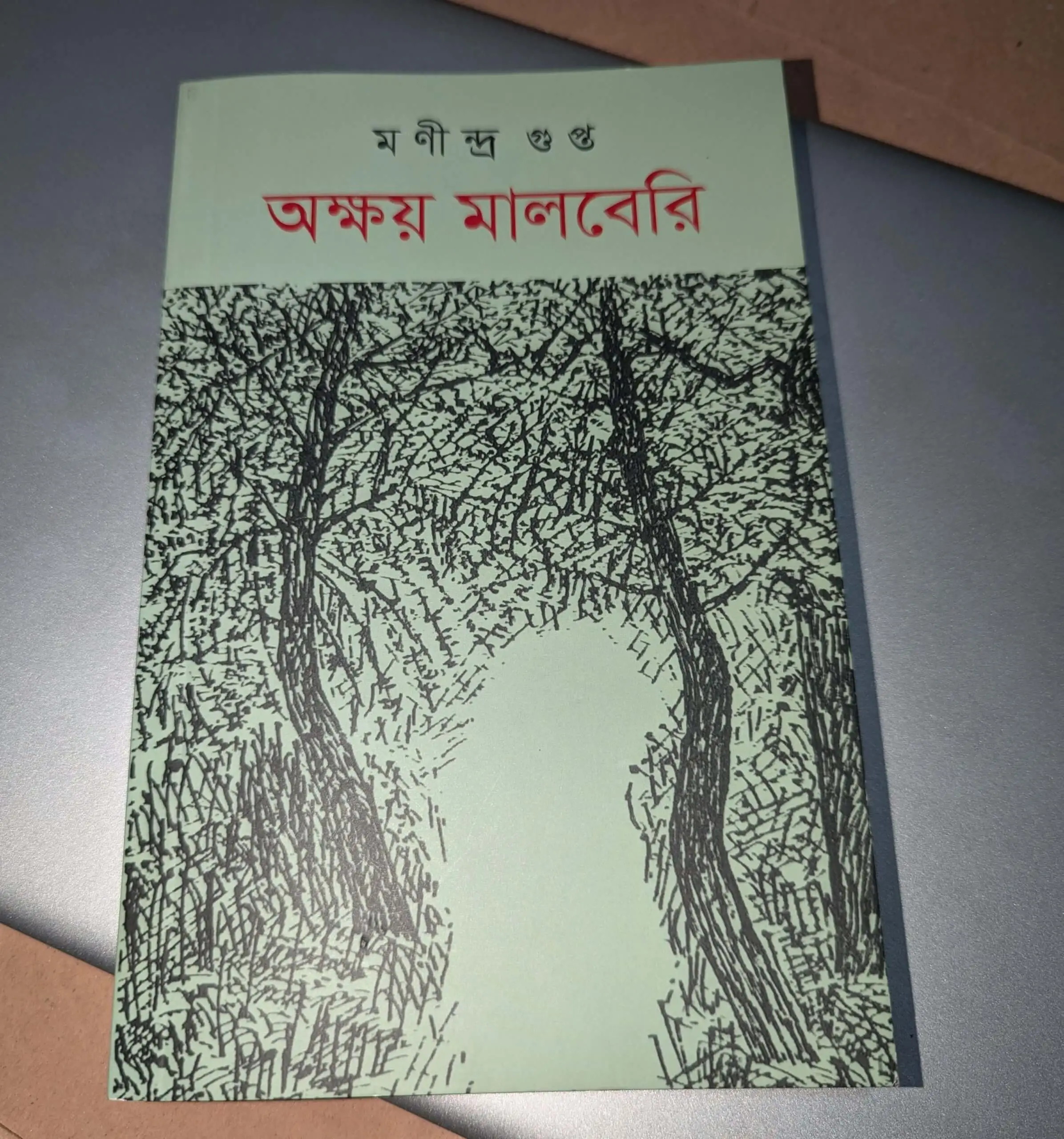 “অক্ষয় মালবেরি”- শৈশবের এক সরল স্বীকারোক্তি